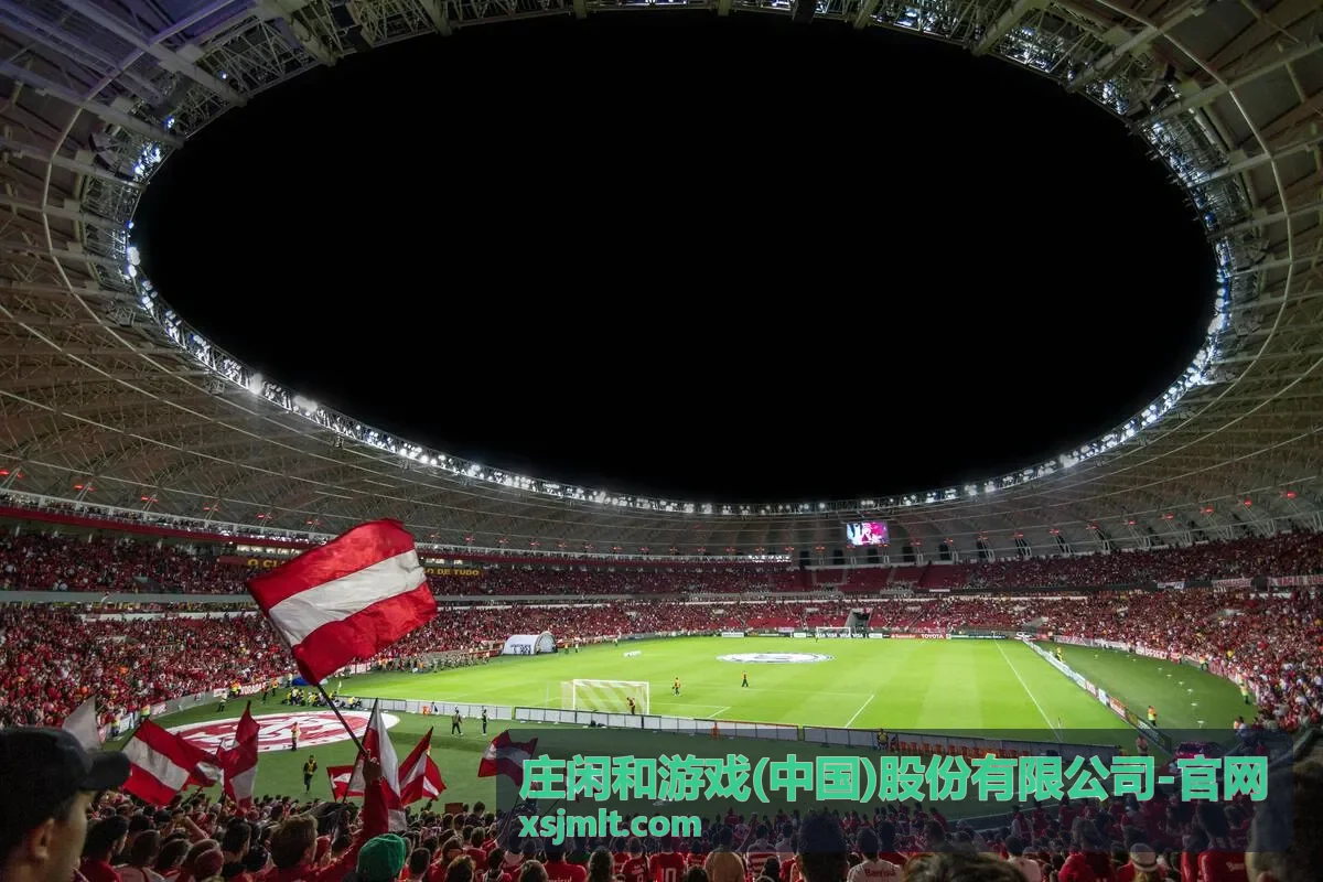 庄闲和连庄对局演示片段