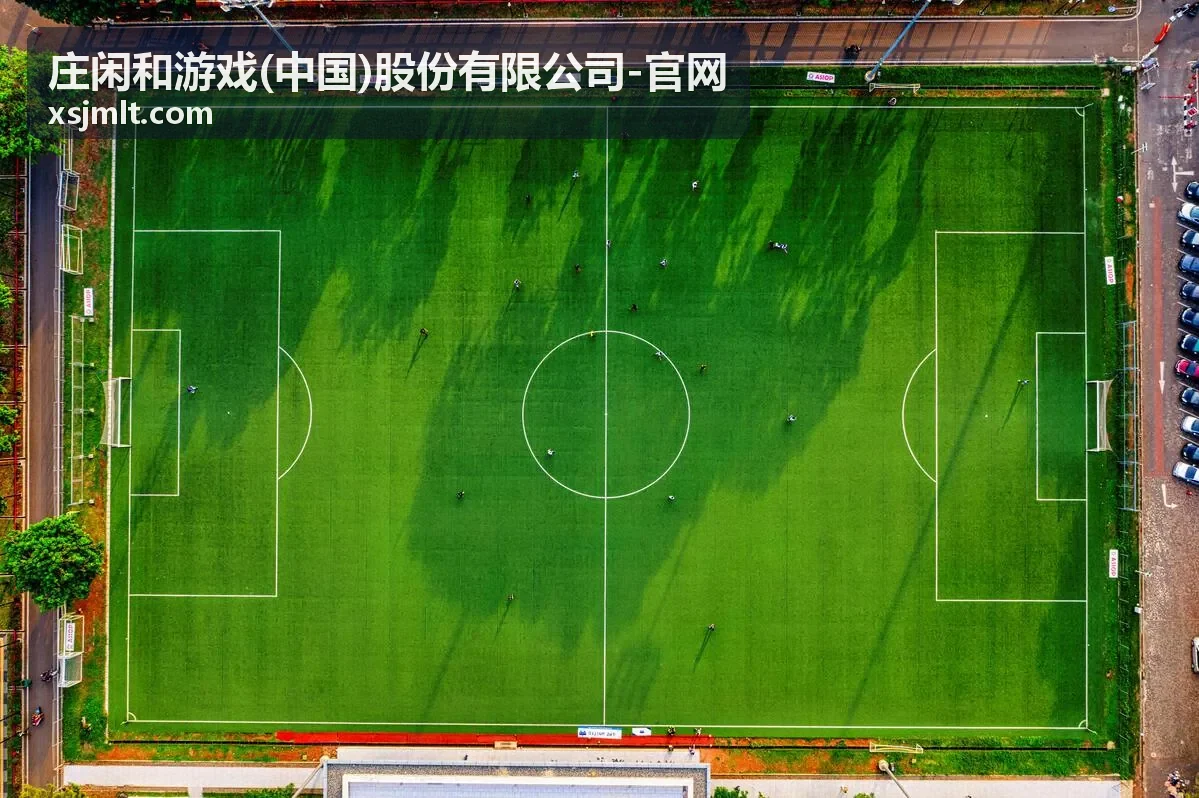 策略型庄闲玩家对局演示